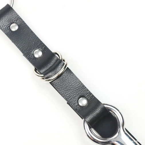 EverydayUse and Kinky 5853 Hook with Collar Anal Leash 0326